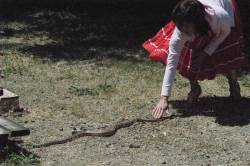 Sandy chases away uninvited extra.