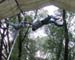 17trapeze-catch3